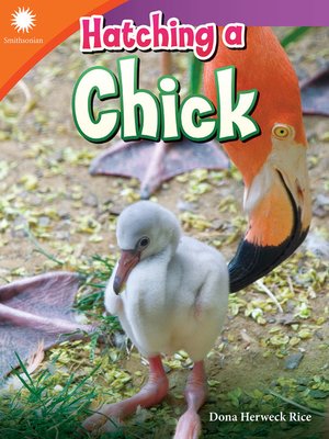 cover image of Hatching a Chick